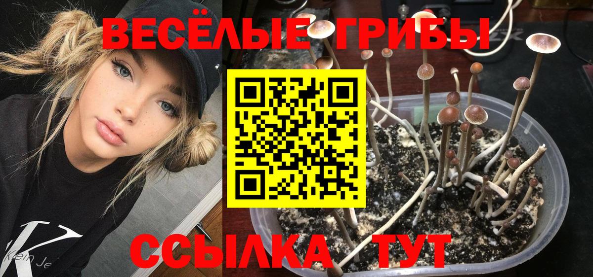 Псилоцибиновые грибы Magic Shrooms Абакан