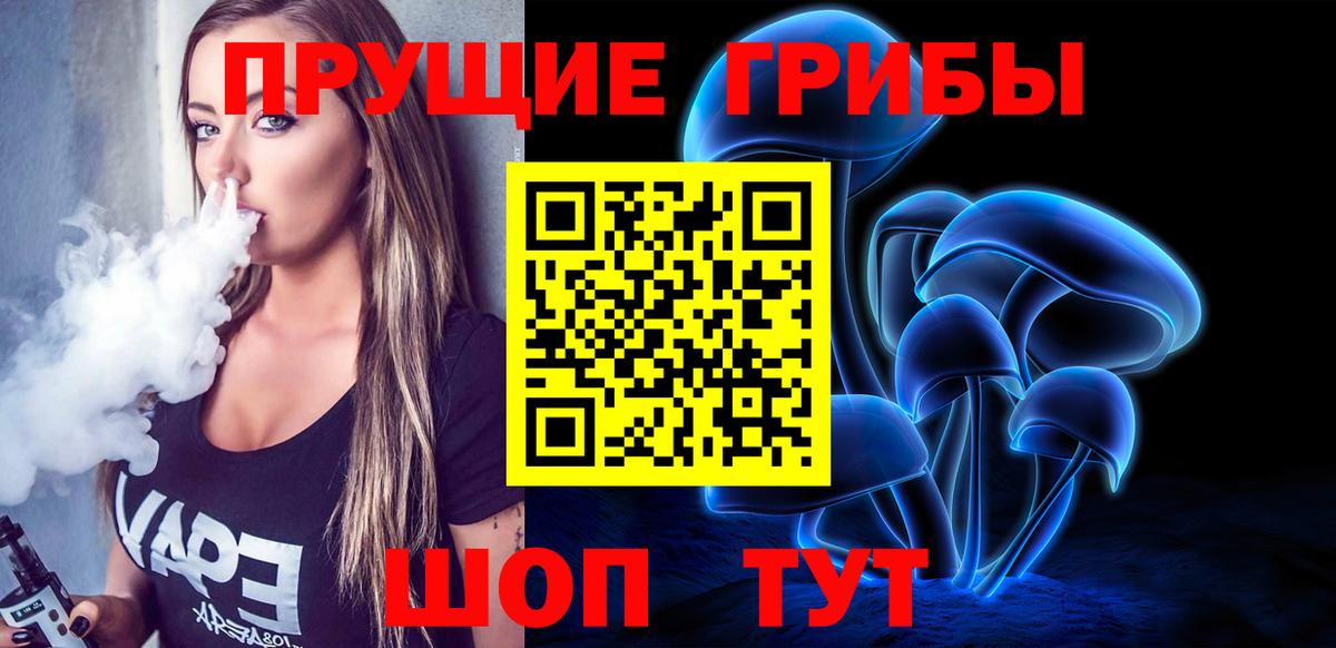 Абакан  хочу   Вход с VPN  Галлюциногенные грибы Psilocybe 